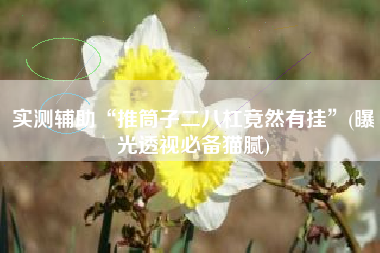 实测辅助“推筒子二八杠竟然有挂”(曝光透视必备猫腻)