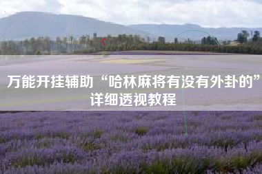 万能开挂辅助“哈林麻将有没有外卦的”详细透视教程