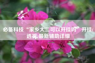 必备科技“家乡大二可以开挂吗”开挂(透视)最新辅助详细