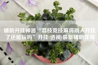 辅助开挂神器“荔枝竞技麻将别人开挂了还能玩吗”开挂(透视)最新辅助详细