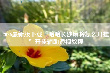 2026最新版下载“哈哈长沙麻将怎么开挂”开挂辅助透视教程