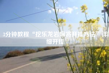 3分钟教程“挖乐龙岩麻将开挂方法”详细开挂