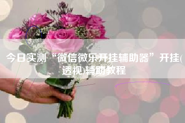 今日实测“微信微乐开挂辅助器”开挂(透视)辅助教程