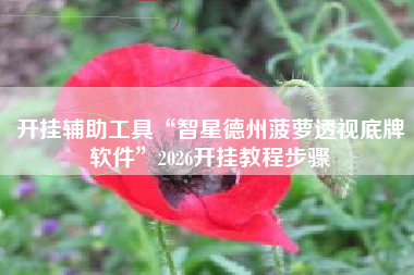 开挂辅助工具“智星德州菠萝透视底牌软件	”2026开挂教程步骤