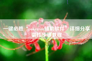 一键必胜“pokemon辅助软件	”详细分享装挂步骤教程