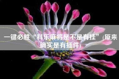 一键必胜“科乐麻将是不是有挂”(原来确实是有插件)