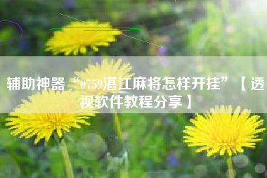 辅助神器“0759湛江麻将怎样开挂	”【透视软件教程分享】