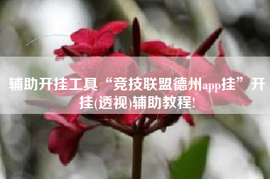 辅助开挂工具“竞技联盟德州app挂”开挂(透视)辅助教程!