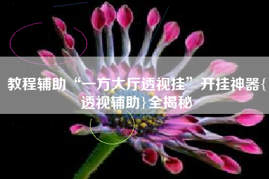 教程辅助“一方大厅透视挂”开挂神器{透视辅助}全揭秘