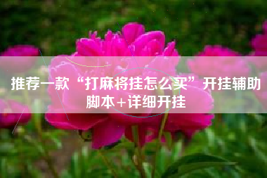 推荐一款“打麻将挂怎么买”开挂辅助脚本+详细开挂