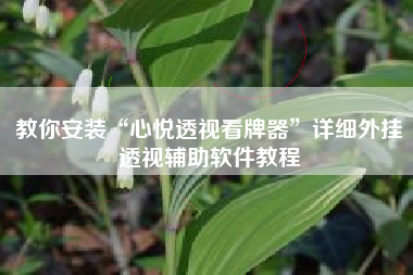 教你安装“心悦透视看牌器”详细外挂透视辅助软件教程