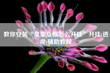 教你安装“皇豪互娱怎么开挂”开挂(透视)辅助教程