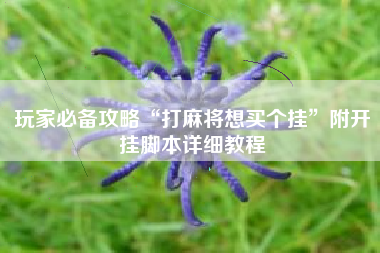 玩家必备攻略“打麻将想买个挂	”附开挂脚本详细教程