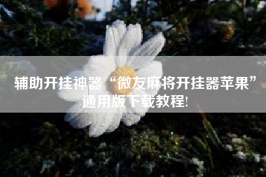辅助开挂神器“微友麻将开挂器苹果”通用版下载教程!