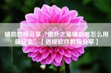 辅助教程分享“德扑之星辅助器怎么用最安全”【透视软件教程分享】