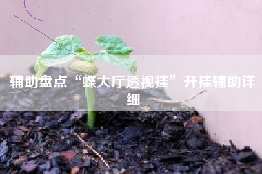 辅助盘点“蝶大厅透视挂”开挂辅助详细