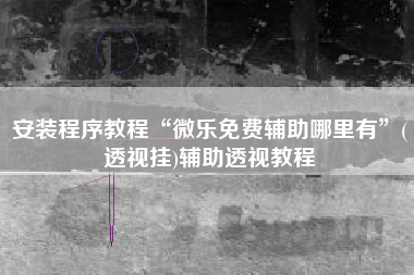 安装程序教程“微乐免费辅助哪里有”(透视挂)辅助透视教程