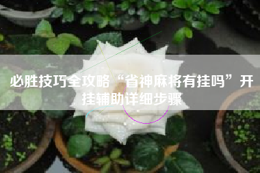 必胜技巧全攻略“省神麻将有挂吗”开挂辅助详细步骤