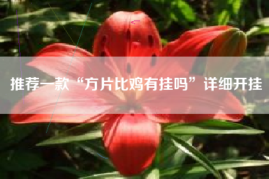 推荐一款“方片比鸡有挂吗	”详细开挂