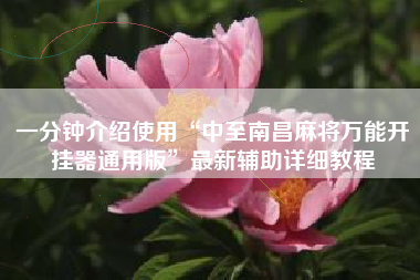 一分钟介绍使用“中至南昌麻将万能开挂器通用版	”最新辅助详细教程