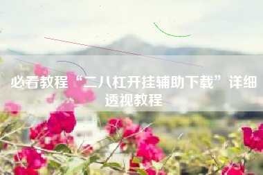 必看教程“二八杠开挂辅助下载”详细透视教程