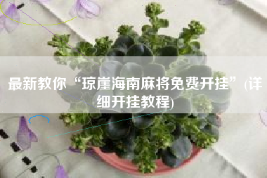 最新教你“琼崖海南麻将免费开挂	”(详细开挂教程)