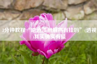 3分钟教程“地道贵州麻将有挂吗	”(透视)其实确实有挂