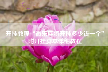 开挂教程“微乐麻将开挂多少钱一个”附开挂脚本详细教程