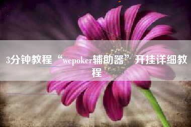 3分钟教程“wepoker辅助器”开挂详细教程