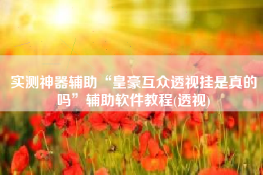 实测神器辅助“皇豪互众透视挂是真的吗”辅助软件教程(透视)