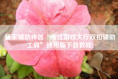 玩家辅助神器“浙江游戏大厅双扣辅助工具”通用版下载教程!