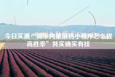 今日实测“微乐内蒙麻将小程序怎么提高胜率”其实确实有挂