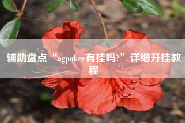 辅助盘点“agpoker有挂吗?”详细开挂教程