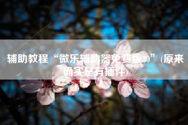 辅助教程“微乐辅助器免费版30	”(原来确实是有插件)