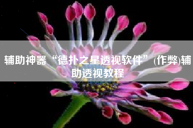 辅助神器“德扑之星透视软件”(作弊)辅助透视教程