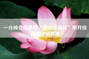 一分钟介绍使用“德州透视挂”附开挂脚本详细教程