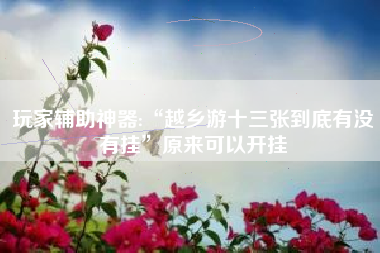 玩家辅助神器:“越乡游十三张到底有没有挂”原来可以开挂