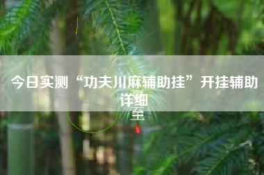 今日实测“功夫川麻辅助挂”开挂辅助详细