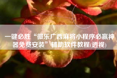 一键必胜“微乐广西麻将小程序必赢神器免费安装”辅助软件教程(透视)