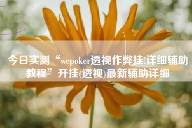 今日实测“wepoker透视作弊挂!详细辅助教程”开挂(透视)最新辅助详细