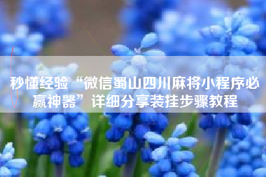 秒懂经验“微信蜀山四川麻将小程序必赢神器”详细分享装挂步骤教程
