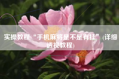 实操教程“手机麻将是不是有挂”(详细透视教程)