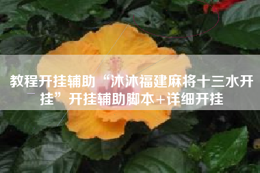 教程开挂辅助“沐沐福建麻将十三水开挂	”开挂辅助脚本+详细开挂