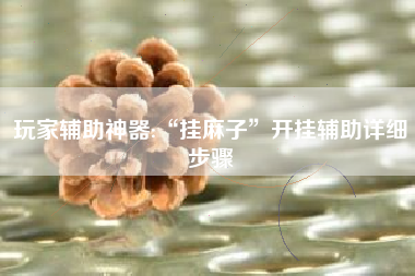 玩家辅助神器:“挂麻子	”开挂辅助详细步骤