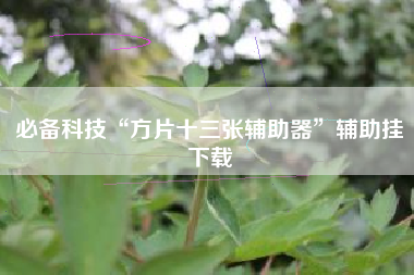 必备科技“方片十三张辅助器	”辅助挂下载