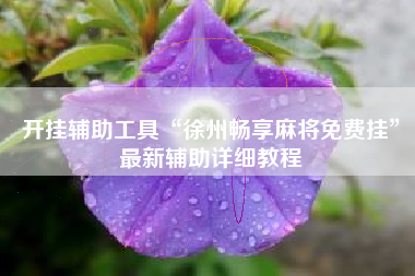 开挂辅助工具“徐州畅享麻将免费挂”最新辅助详细教程