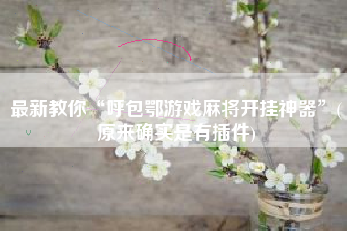 最新教你“呼包鄂游戏麻将开挂神器	”(原来确实是有插件)