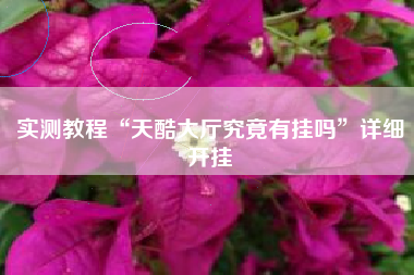 实测教程“天酷大厅究竟有挂吗”详细开挂