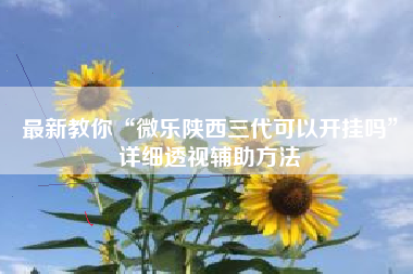 最新教你“微乐陕西三代可以开挂吗”详细透视辅助方法