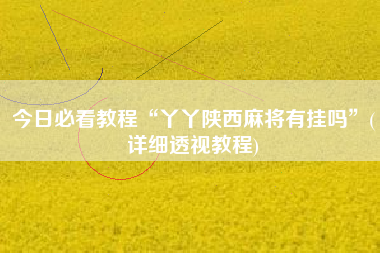 今日必看教程“丫丫陕西麻将有挂吗”(详细透视教程)